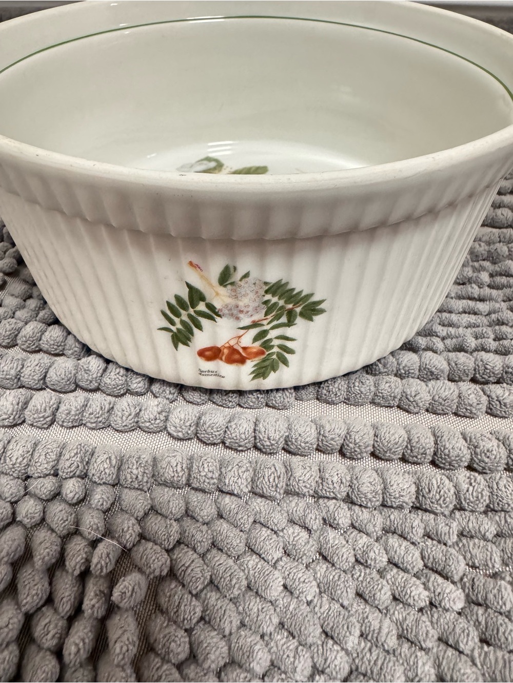Vintage Limoges France Le Faune Botanical Porcelain Baking Dish - White & Green - Picture 6 of 9
